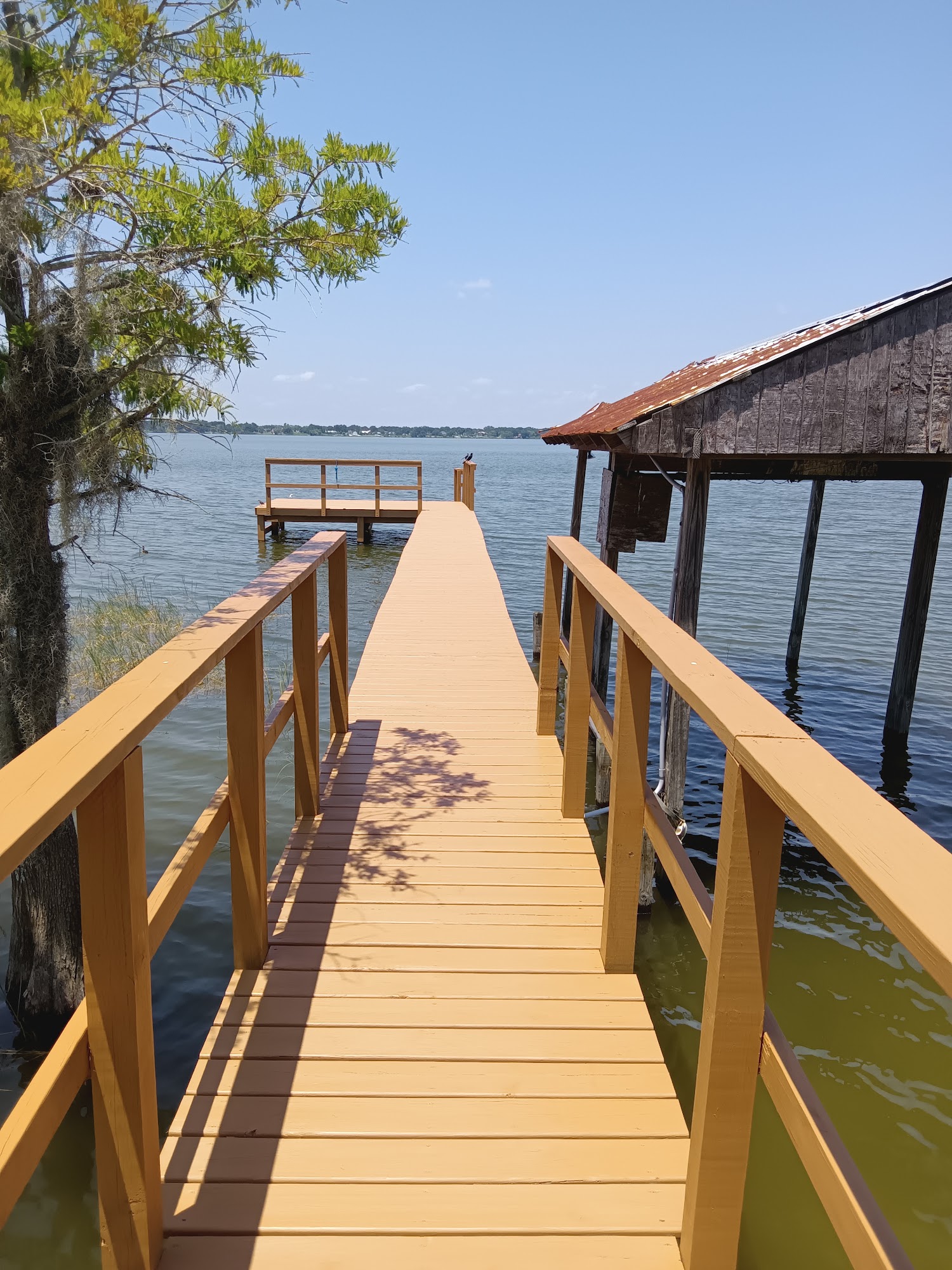 New wooden steps and rails descending to the water